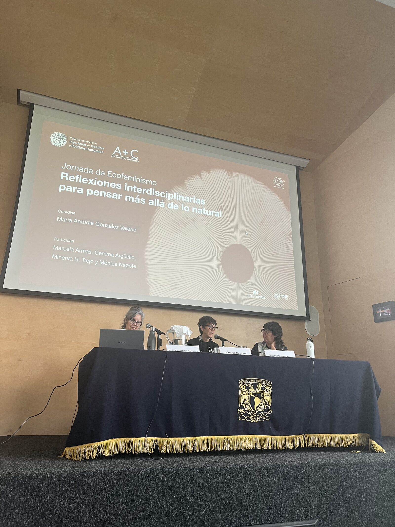 Jornada de Ecofeminismo — panel